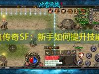 热血传奇SF：新手如何提升技能？